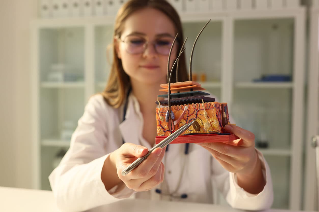 Médica tricologista mostrando modelo artificial de pele humana com cabelo em close-up clínica para explicar o tratamento capilar